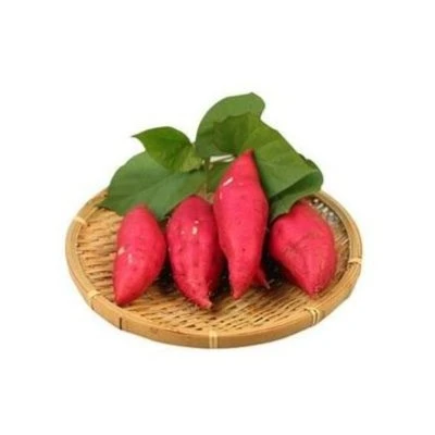 榴莲蜜薯500g