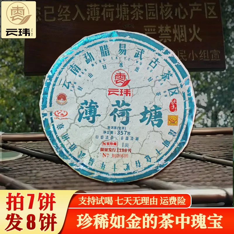 云玮2018薄荷塘古树纯料头春普洱茶生茶357g饼茶珍藏香甜耐泡直供