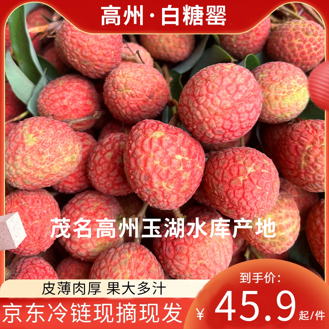 广东省内京东包邮广东茂名高州白糖罂荔枝鲜嫩多汁当季新鲜水果