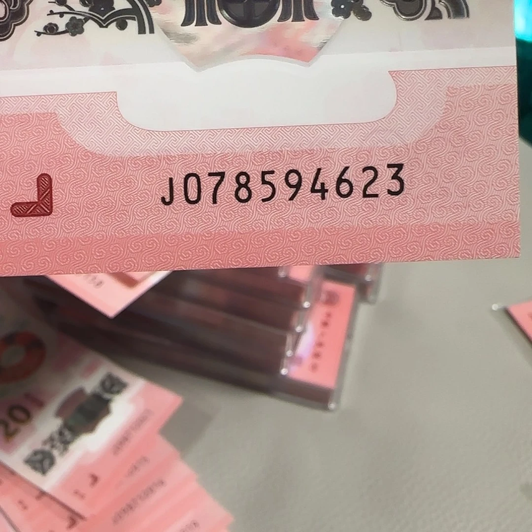 塑料蛇年纪念钞地龙号