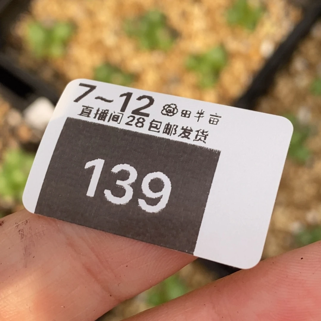 被***酱55555555555555555