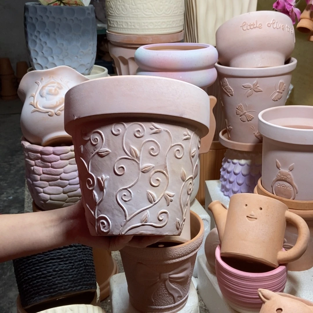 20×19雾化国际钩藤1个