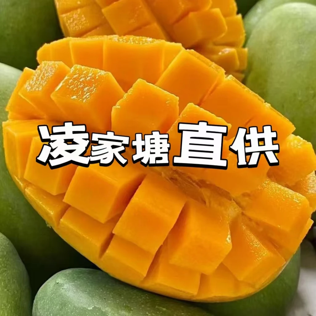 凯特大青芒一个1.2斤以上