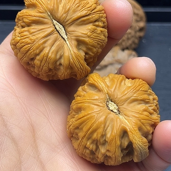 木质类秦岭突突突突突突突