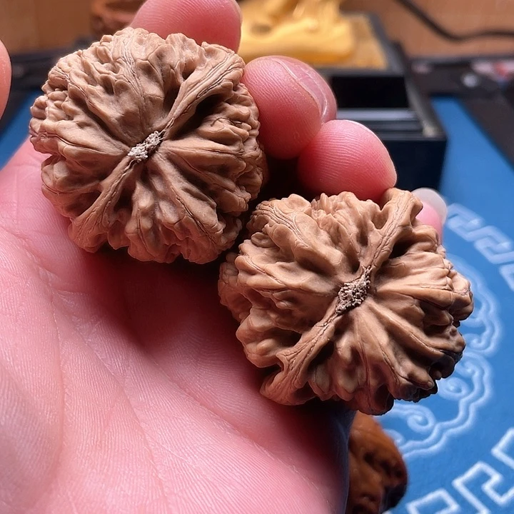 文玩核桃吊坠?**泰大粗筋