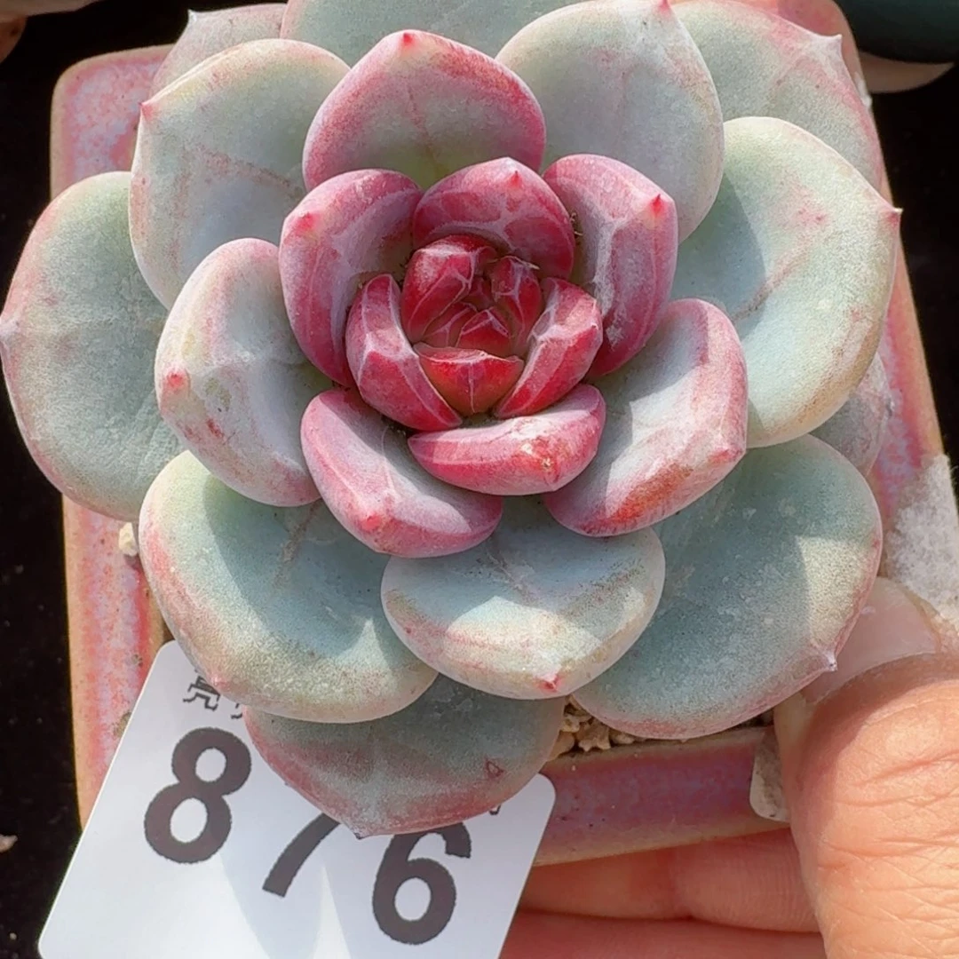 长相思      愿你一路坦途，乘风破浪展宏图