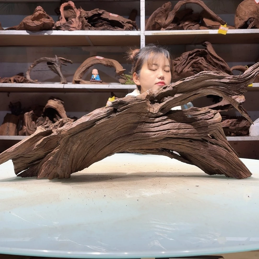 倍褚沉木不包损必褪色6419