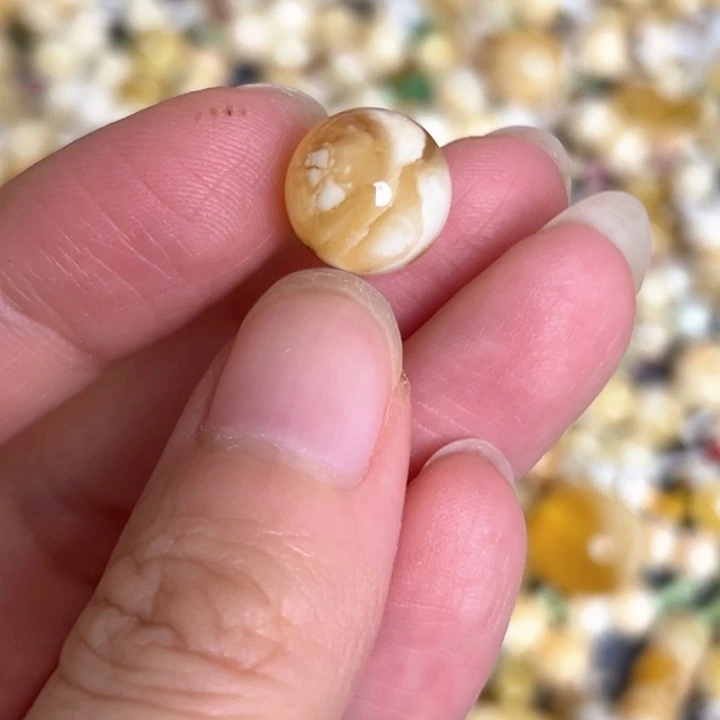 未镶嵌蜜蜡裸石11.7mm一个