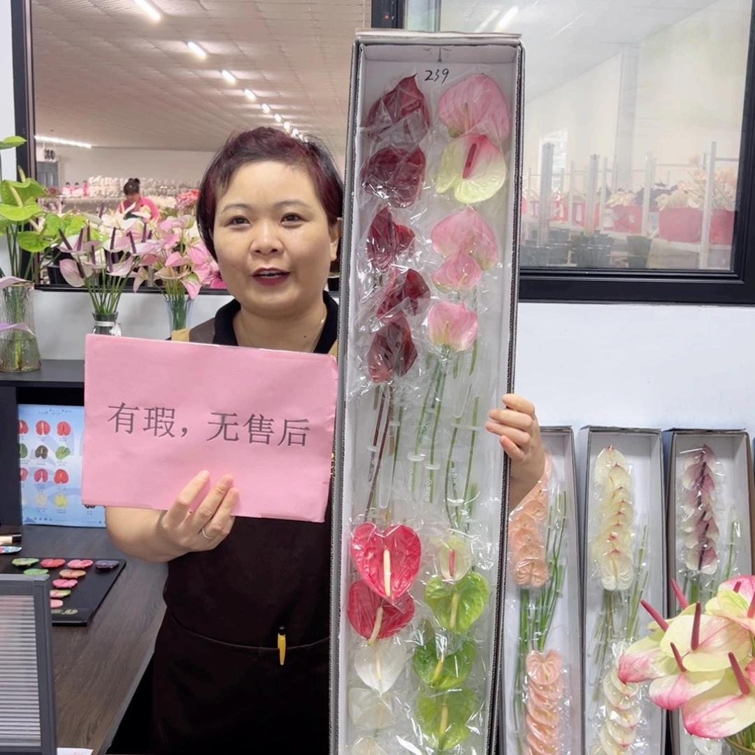 完全开放混色20枝微瑕无售后401