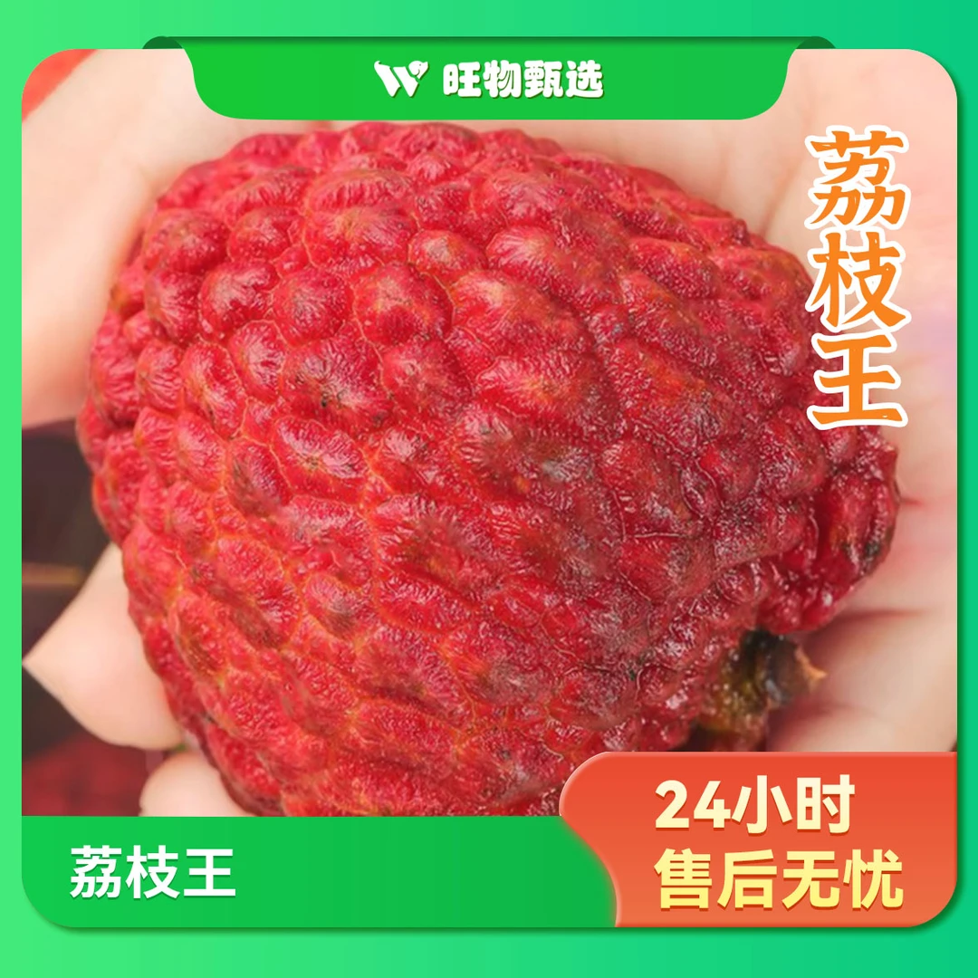 【旺物甄选】荔枝王500g广东省