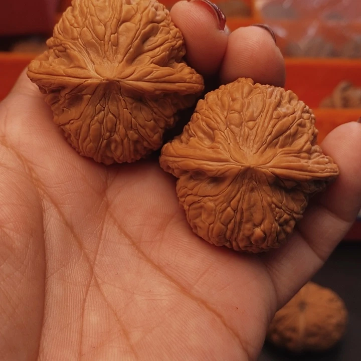 核桃泥鳅背41尺核桃