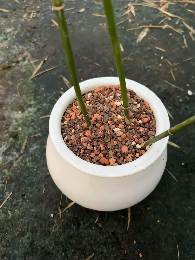 绿植通用养殖土君子兰竹子绿植花卉养殖土六合一发酵过杀菌清洗过