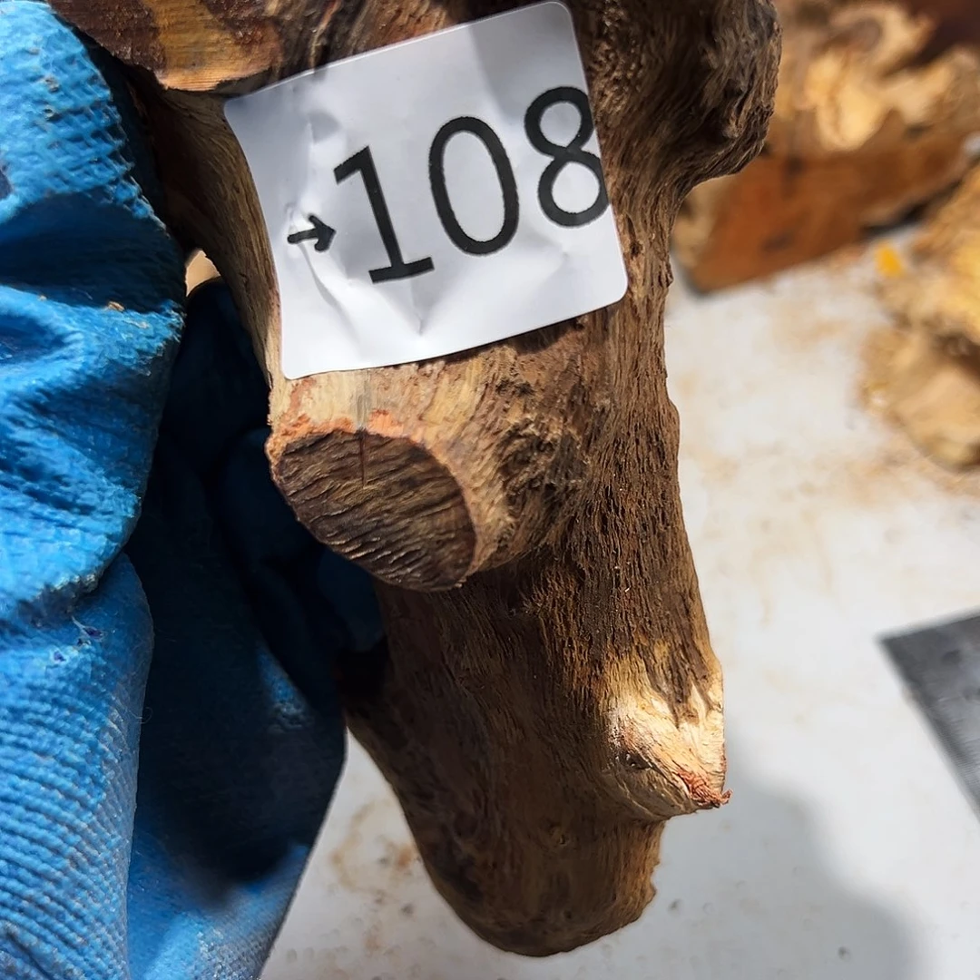 香榧木山****?火琉璃……火琉璃