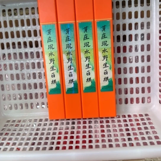 紫砂我88888888888888