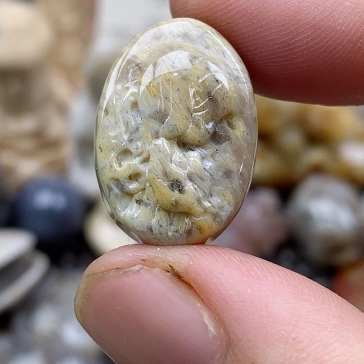 颈饰未镶嵌硅化珊瑚（珊瑚玉）小