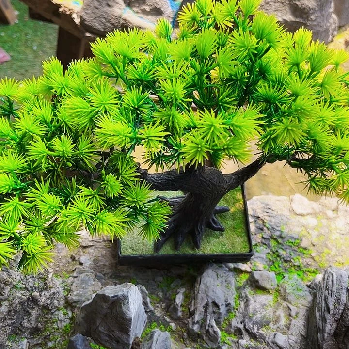 无花朵玉*1111111111