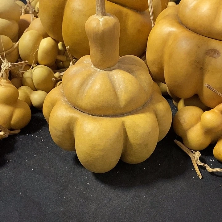 橙**?葫芦的颜色是蓝色还是