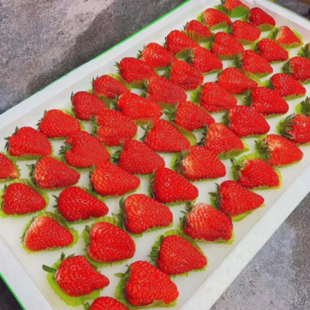 5排大板久久草莓
