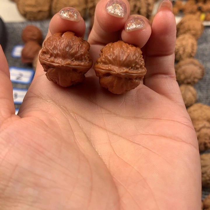 金蝉。