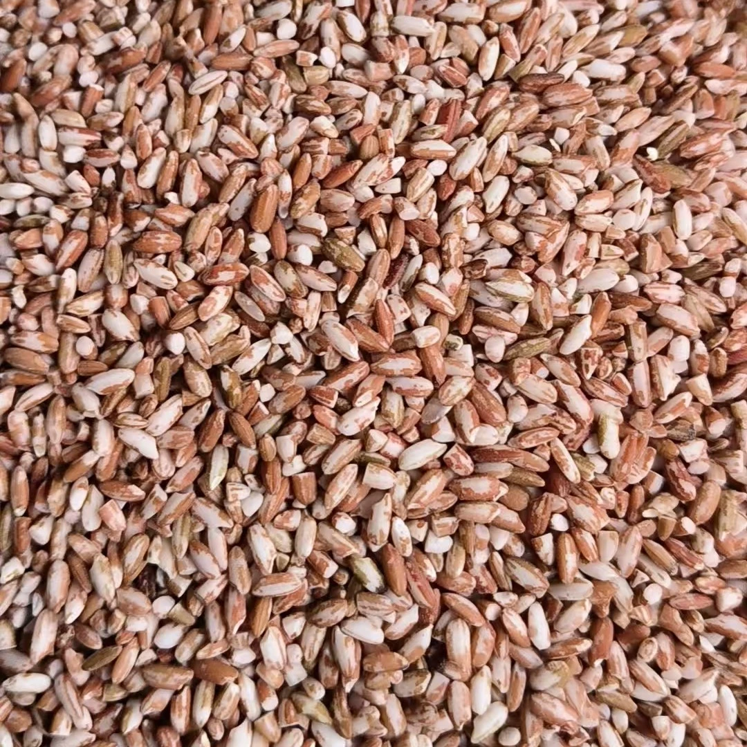 云南哈尼梯田农家自碾山谷红糯米粮食红色正宗适合煮粥，做米酒