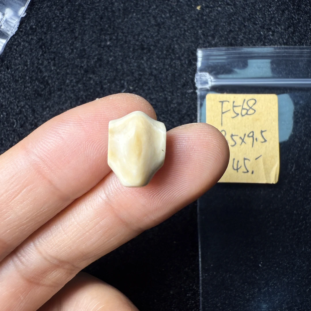 F568猛犸象牙鲨鱼背三通果冻料