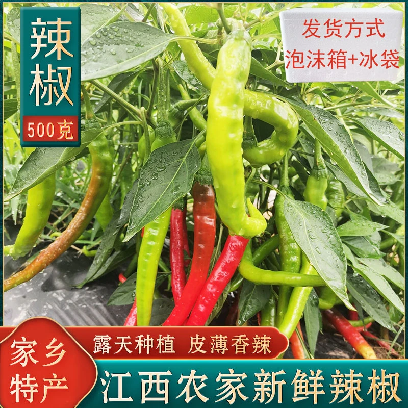 江西新鲜辣椒现摘中辣二荆条青红辣椒线椒薄皮肉脆农家自种土辣椒