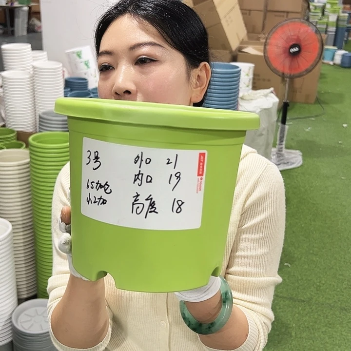 特价3号四季口21高18白色10只无托