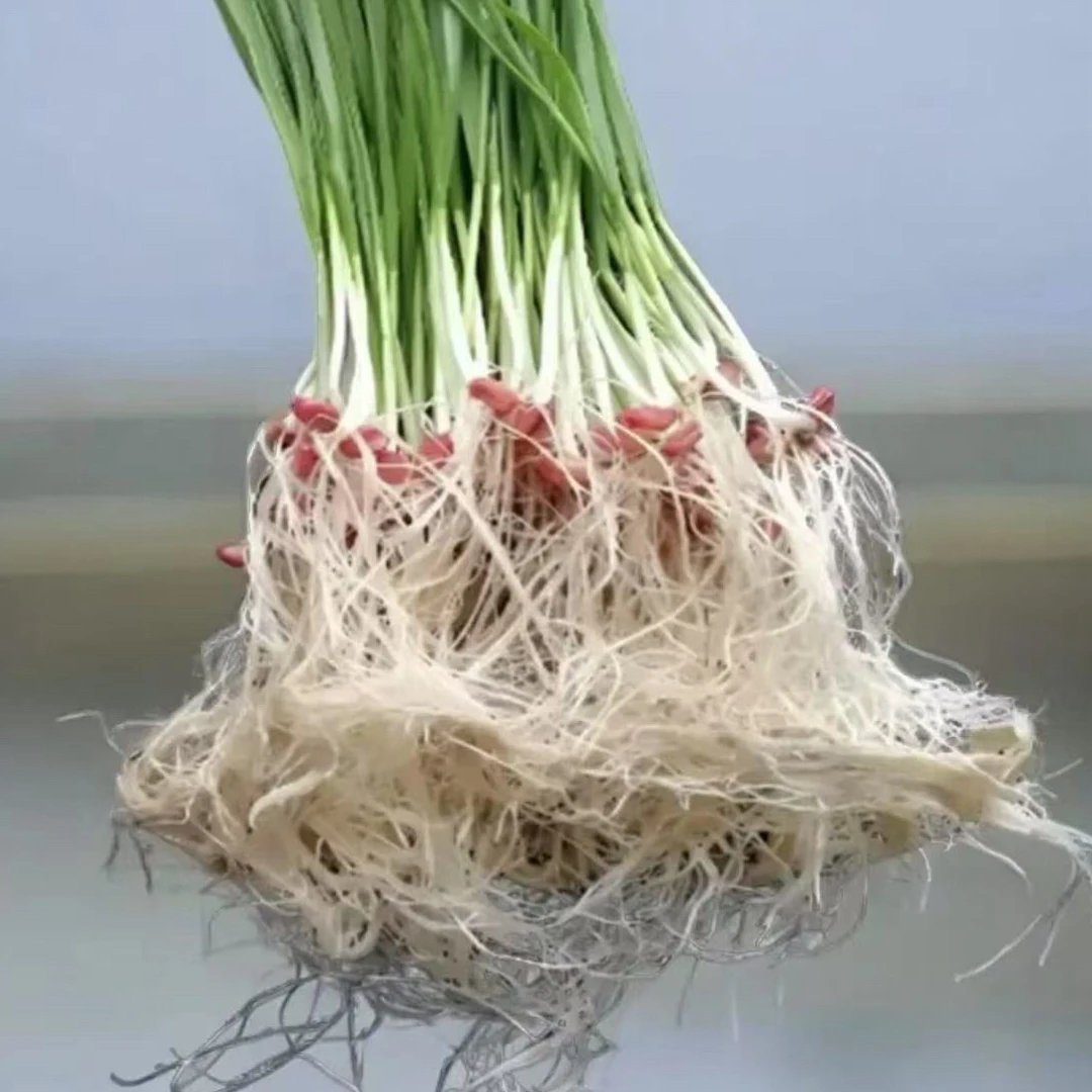 豪拌菌剂1单3瓶送本品1瓶（仅限活动）