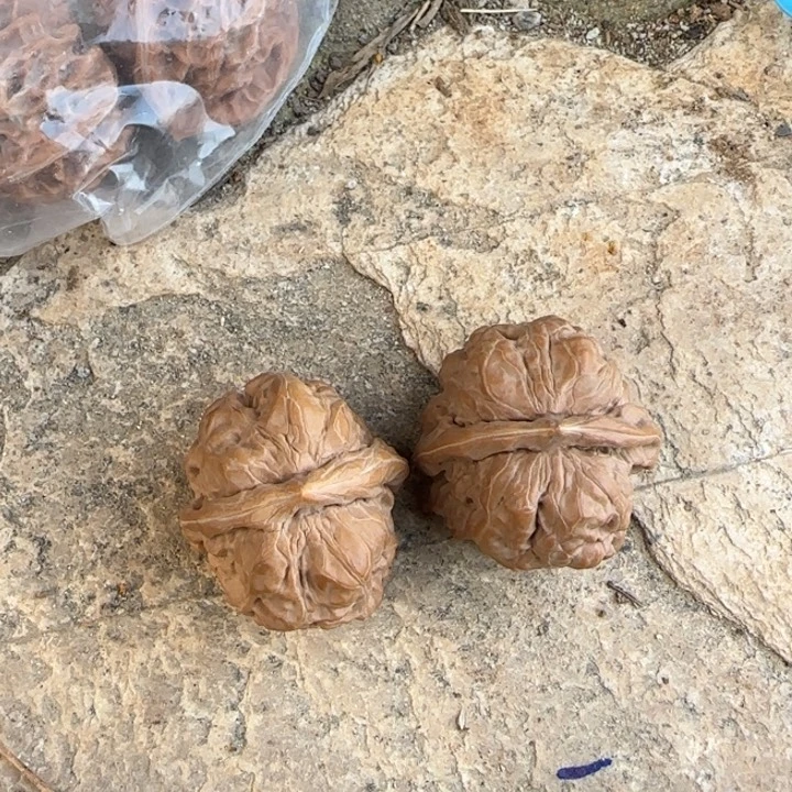 小***s文玩核桃把件蛤蟆头