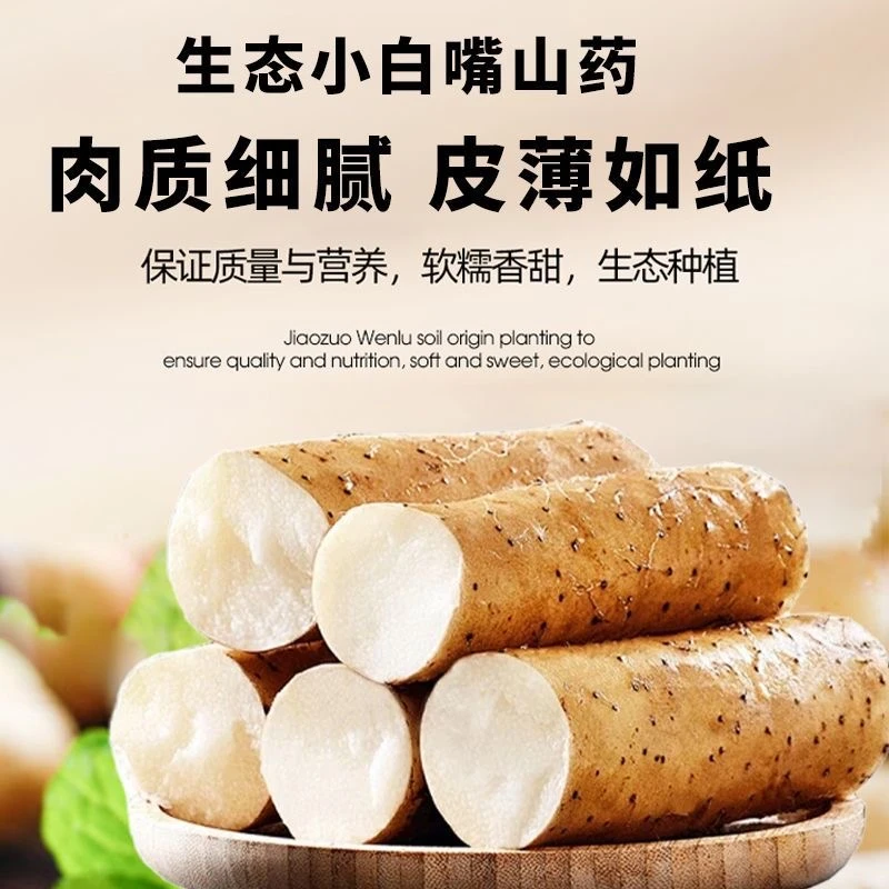 正宗新鲜小白嘴麻山药