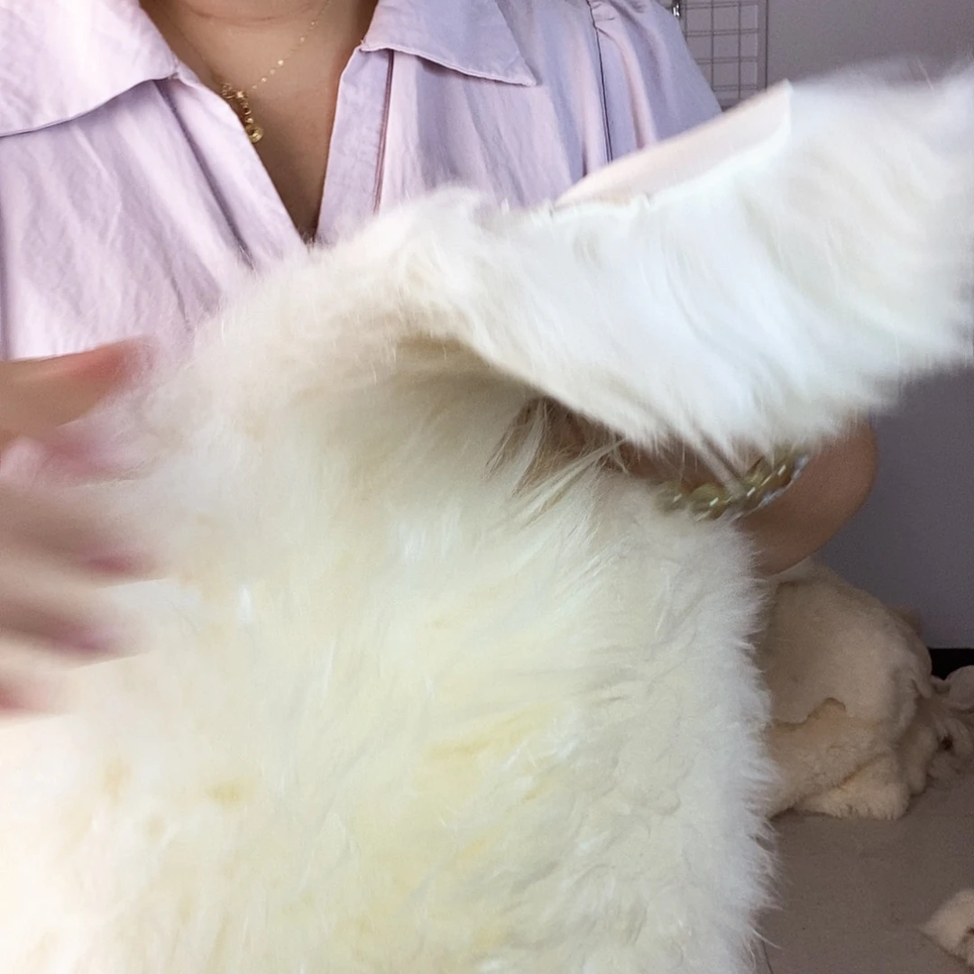 孙***伟有机玻璃绵羊皮等多种产品