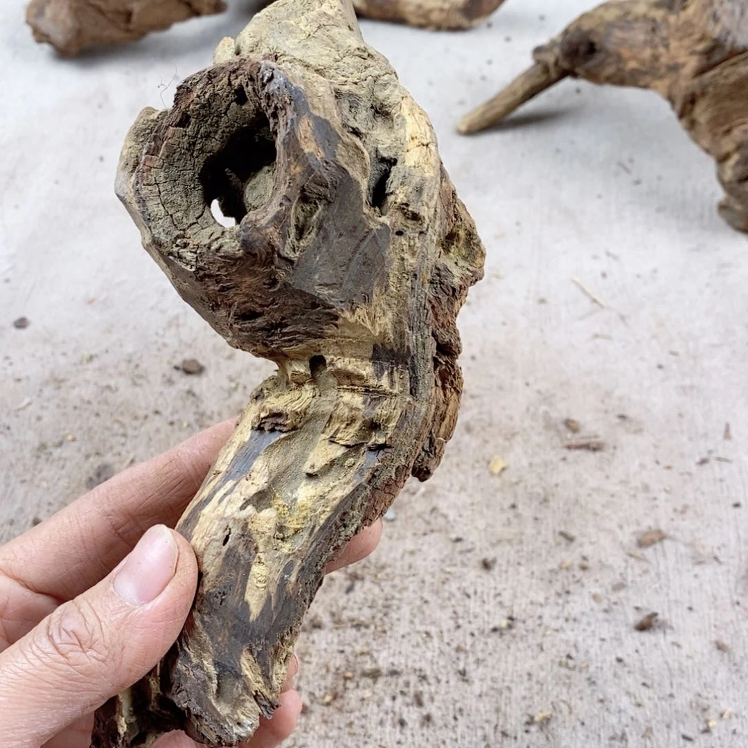 黄花梨/降香黄檀强