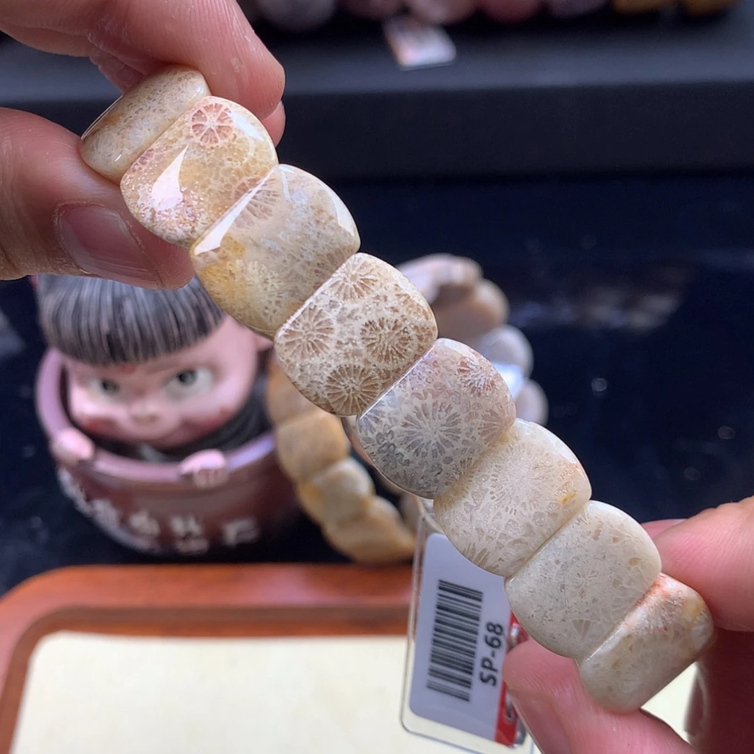 【闪购商品】颈饰未镶嵌硅化珊瑚（珊瑚玉）14号小版型