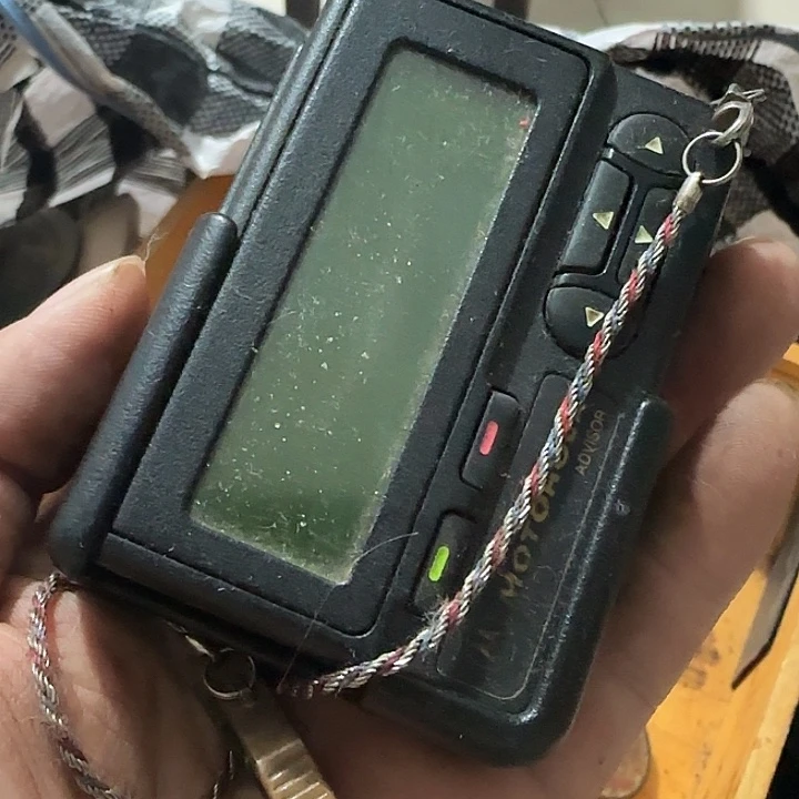 *****香榧木tytytygygggg