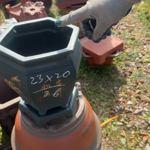 紫砂花盆紫砂花盆盆景盆栽