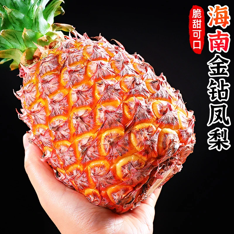 【削皮即食】海南金钻凤梨1-6个水果清甜手撕无眼大菠萝冬天水果