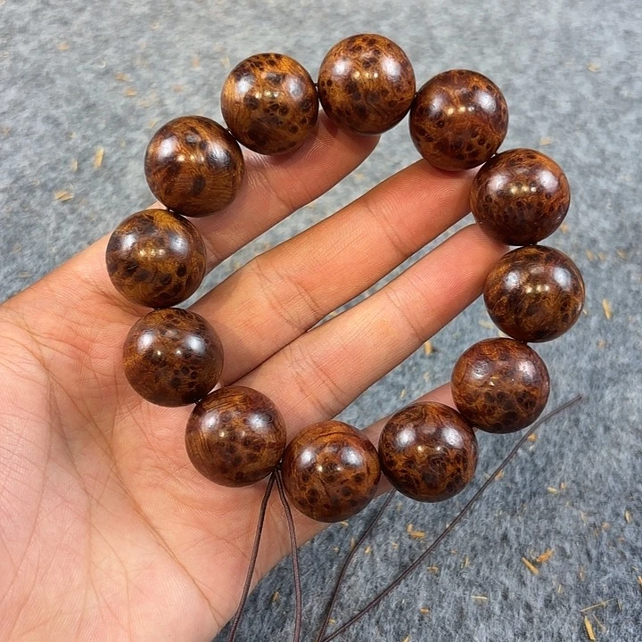 崖柏太行崖柏雷雷2.0