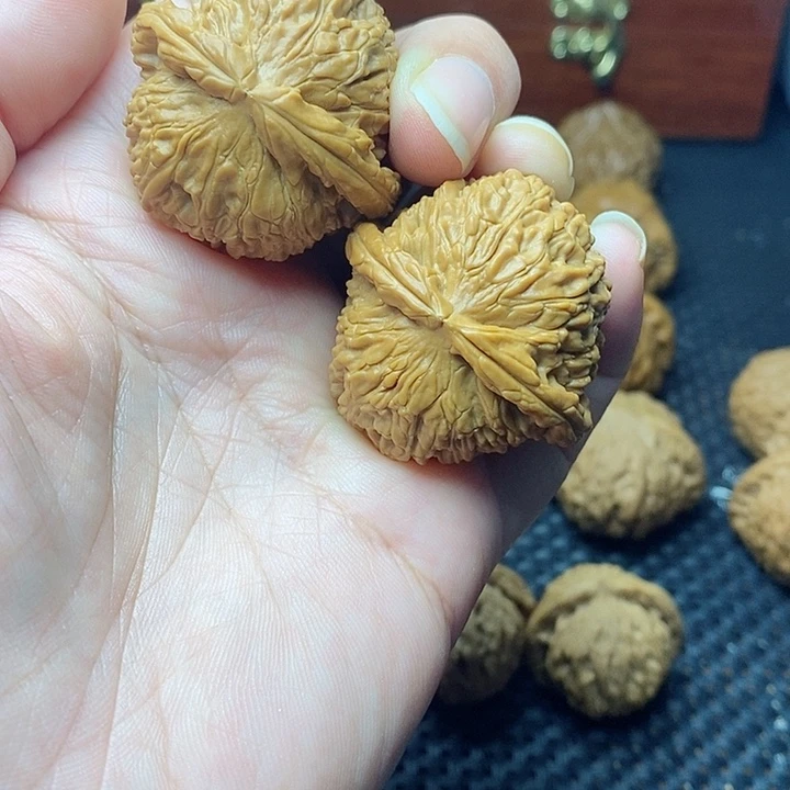 文玩核桃把件39白狮子