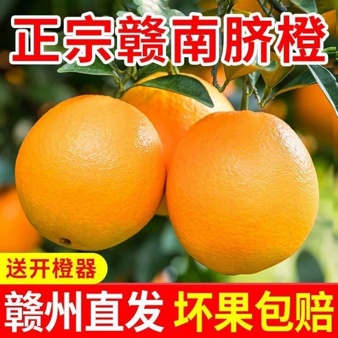 【产地直发】赣南脐橙 新鲜采摘 皮薄多汁 整箱20斤装