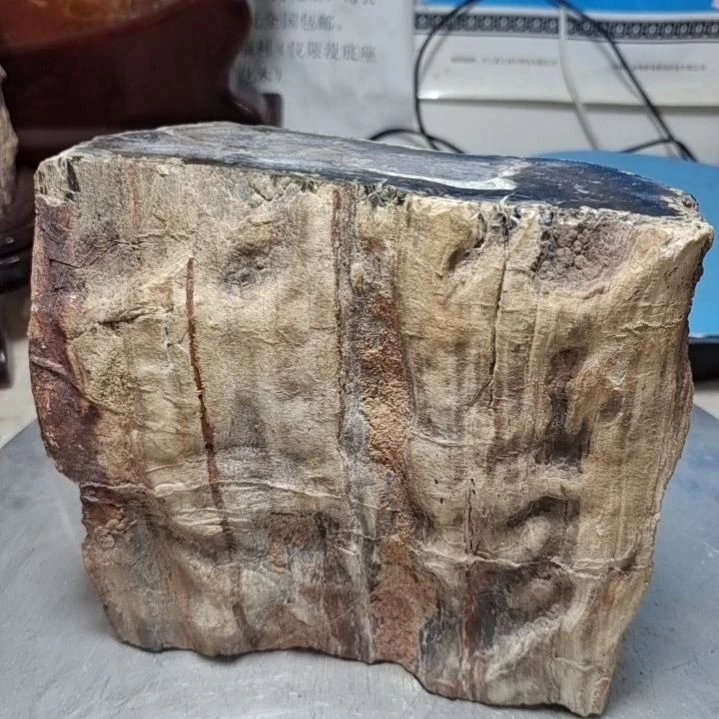 楚***鱼石材新疆奇台硅化木 木化石，树化石，树化玉。