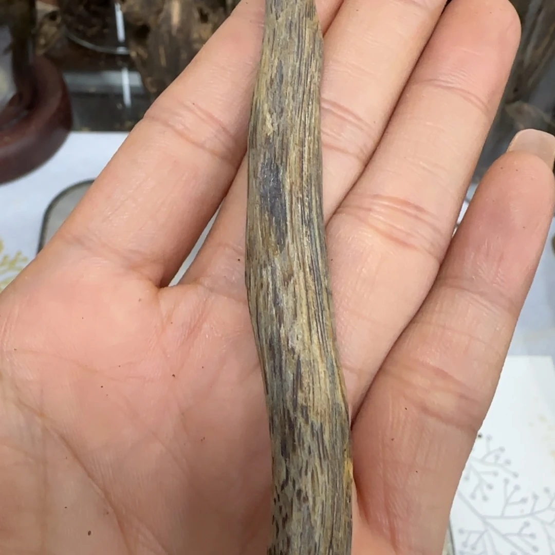 摆件沉香奇楠沉香天然虫漏块料4.2