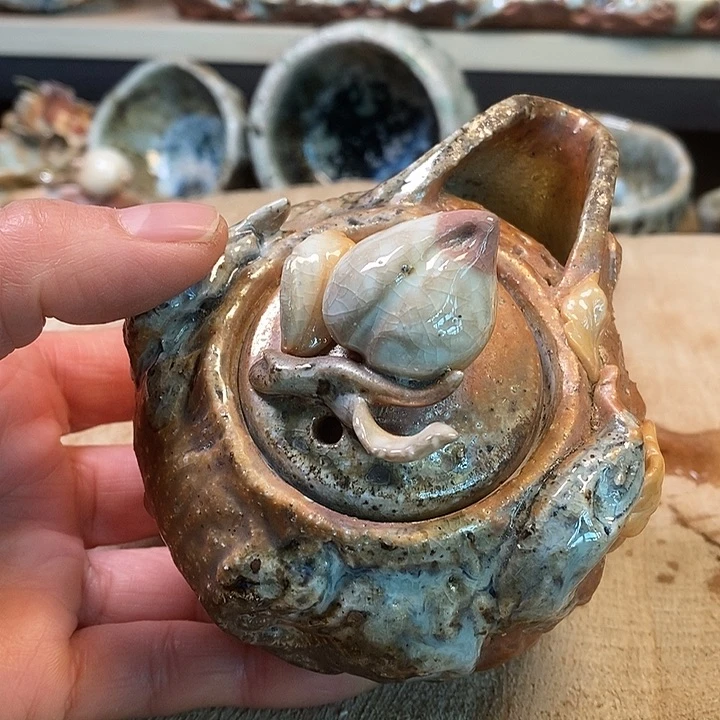 壶这个世界杯的世界