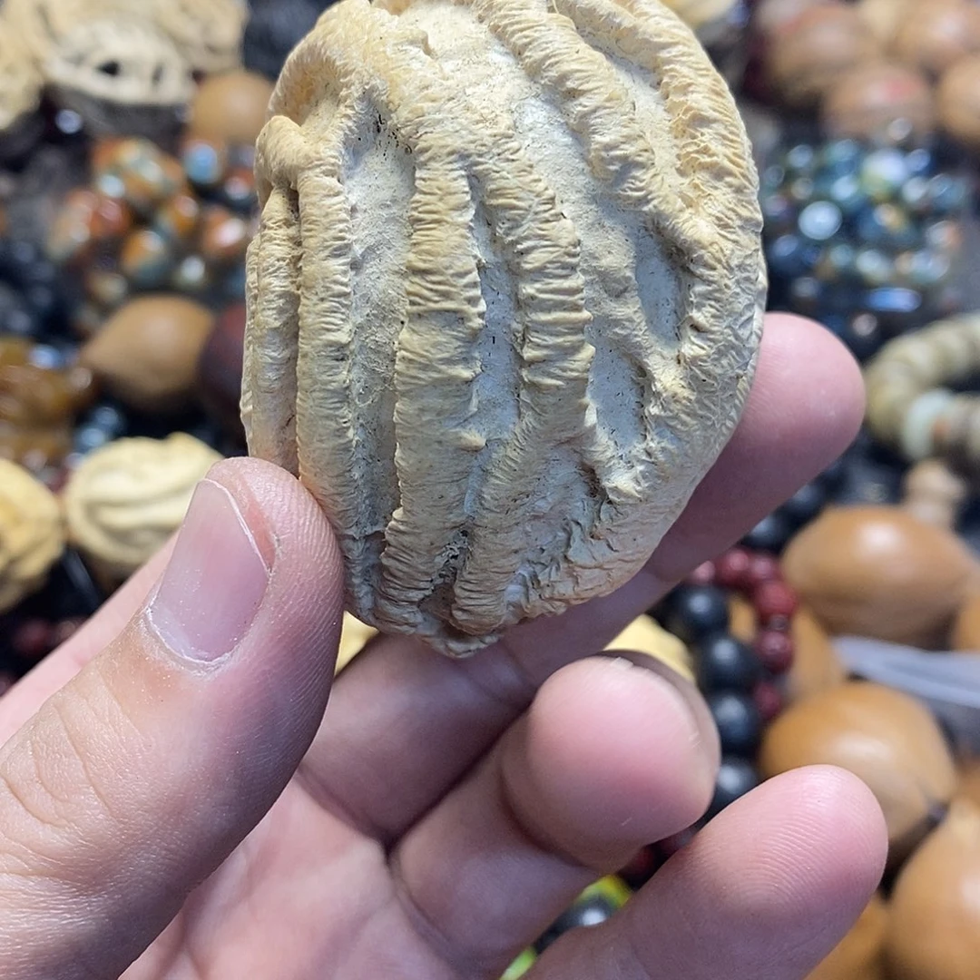 吊坠橄榄核超大单只