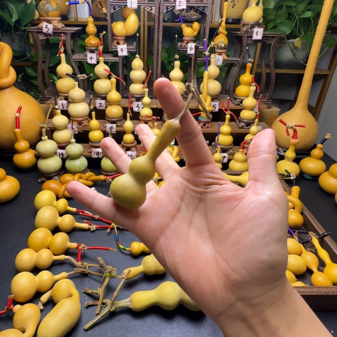 大***孩八宝葫芦八宝葫芦