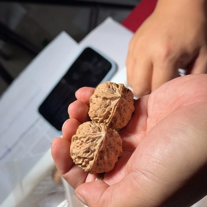 文玩核桃把件铁1号高货四棱随机发