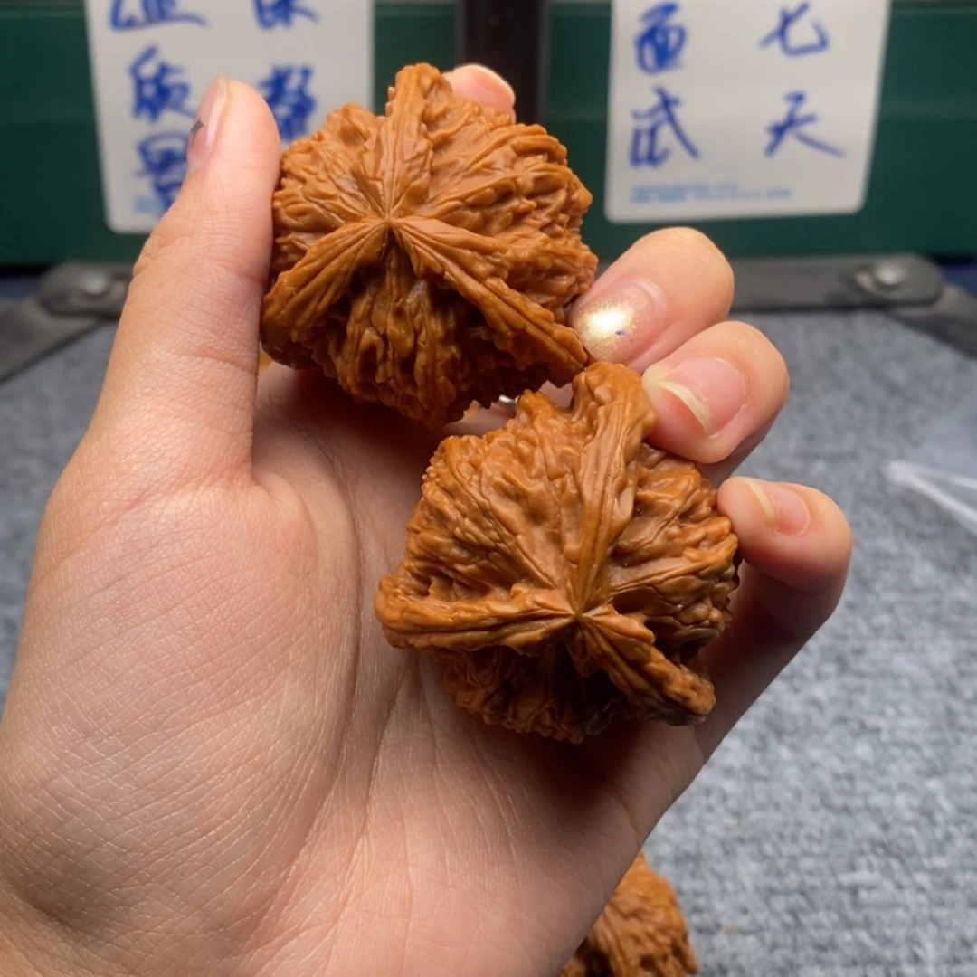 【闪购商品】森**纺白狮子1111111