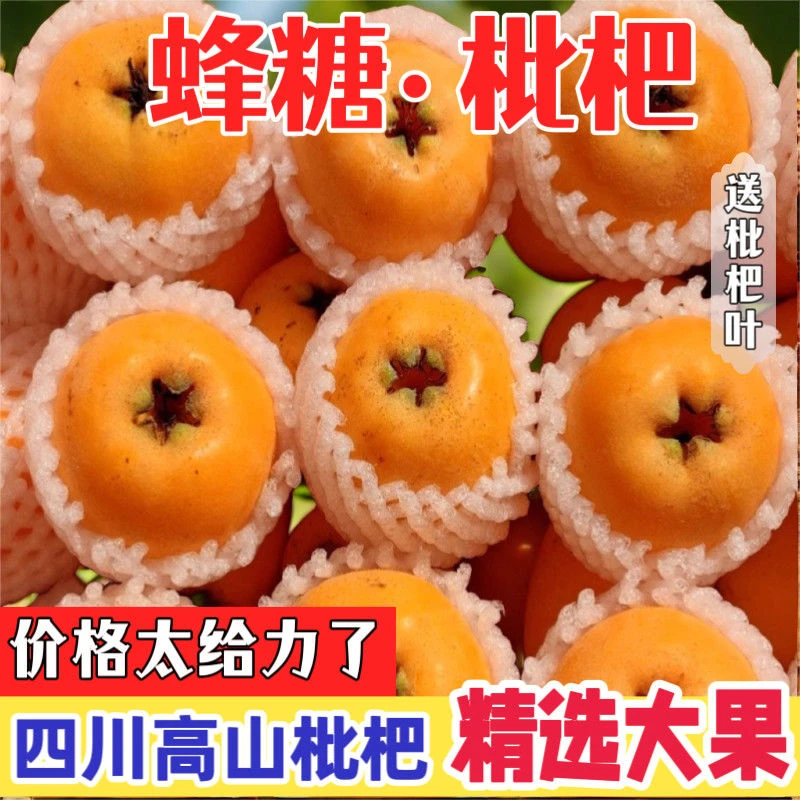 九鼎仓直发  当季枇杷精品大果礼盒装