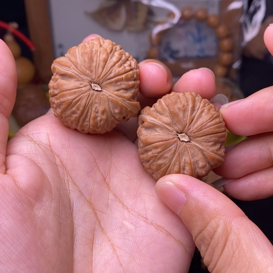 文玩核桃把件35.5金蝉子