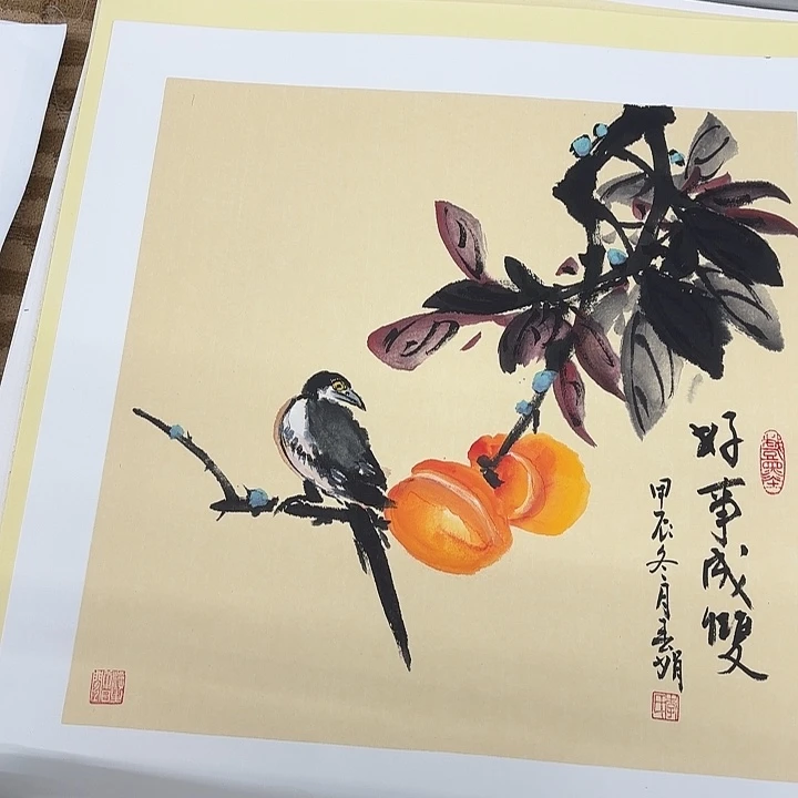 国画越***～花鸟的翅膀和翅膀都是白色的