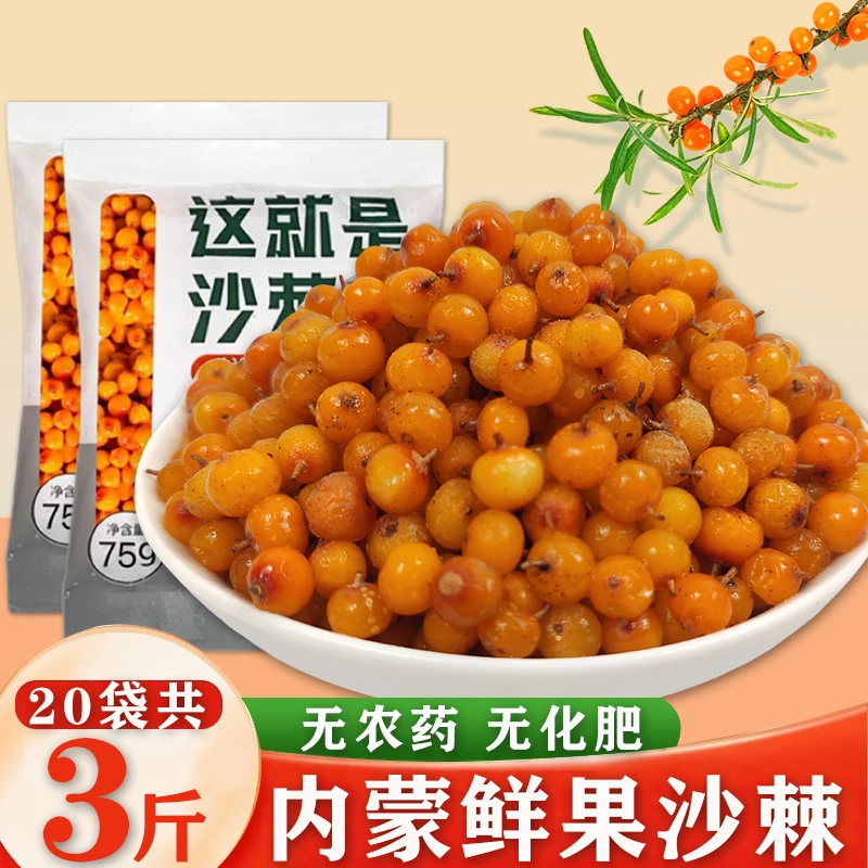 【棘趣3斤】独立包装沙棘果鲜果内蒙小果沙棘原浆原料链包邮